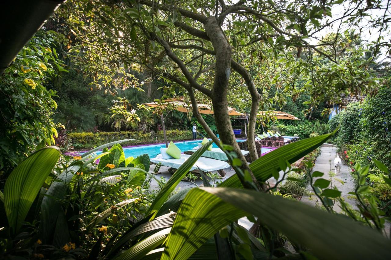 Casa Susegad 호텔 마드가온 외부 사진